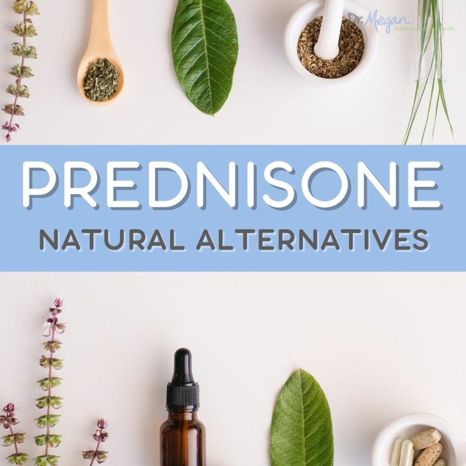 Prednisone Natural Alternatives | Dr. Megan