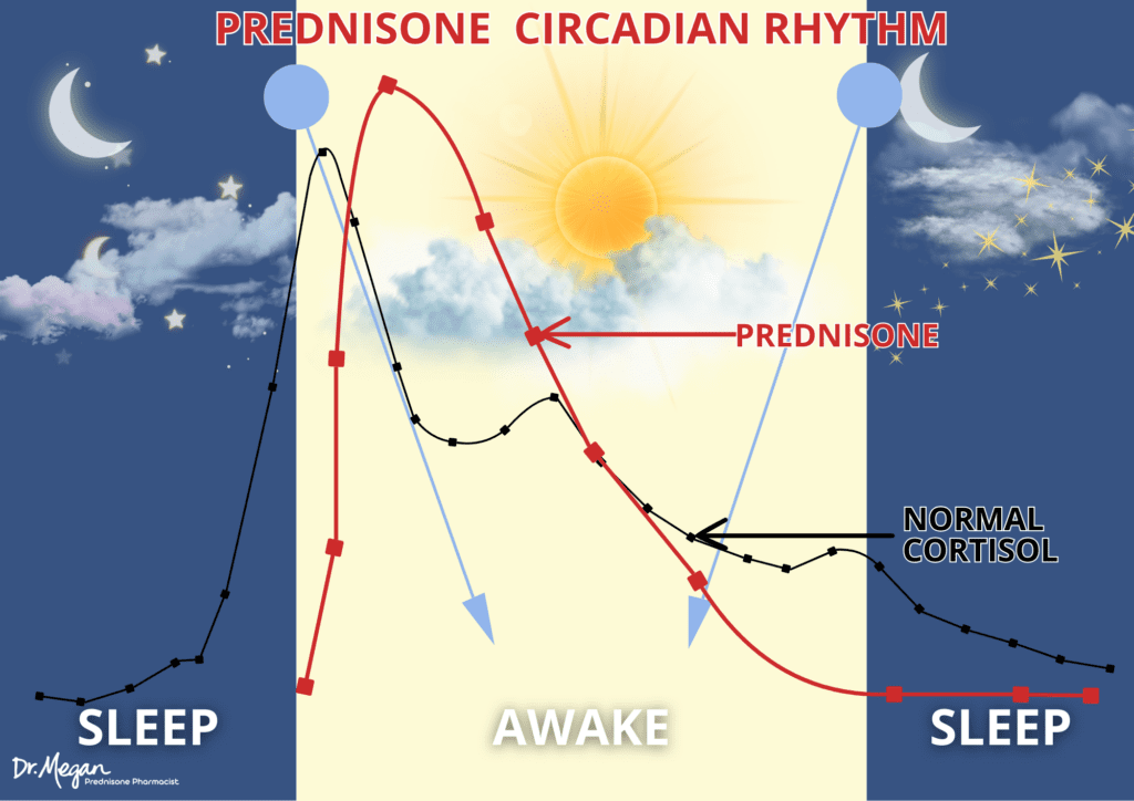 How to Take Prednisone (the RIGHT way) | Dr. Megan